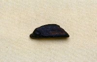 藏品(碎骨一塊)的圖片